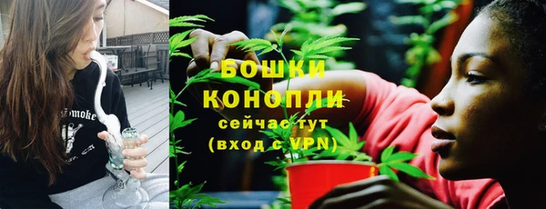 шишки Михайлов