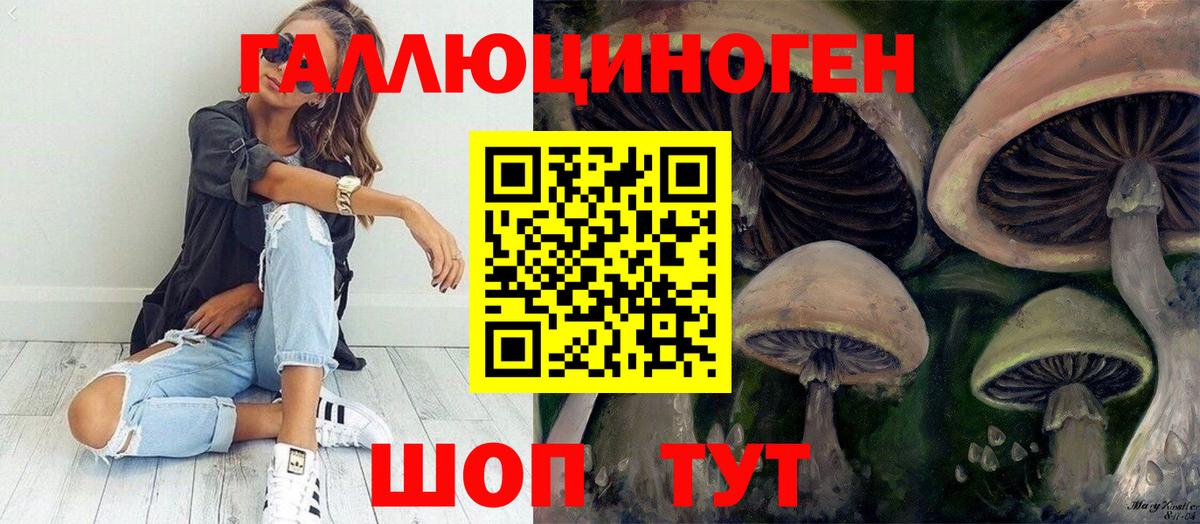Галлюциногенные грибы Psilocybe  Кимовск 