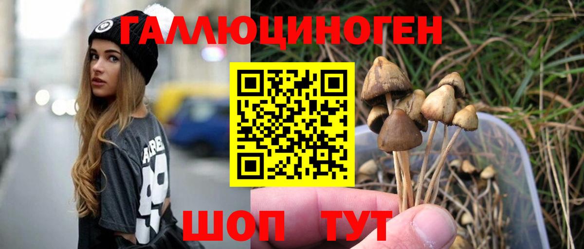 Псилоцибиновые грибы мицелий Кимовск