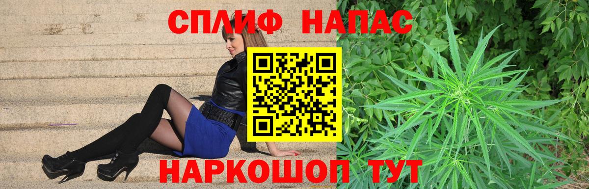 Бошки Шишки индика Кимовск